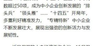 “专精特新”企业茁壮成长：专注技术研发，坚持自主创新