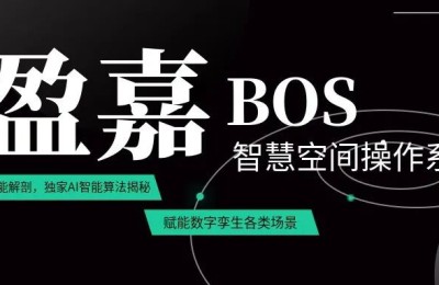 硬核干货| 盈嘉BOS核心功能剖析：数据库兼容能力详解